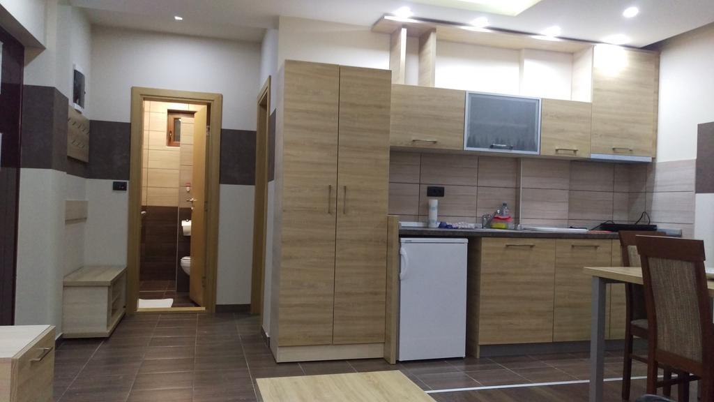 קופאוניק Apartment Ana מראה חיצוני תמונה